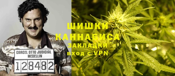 прущие грибы Липки