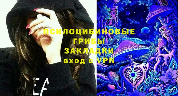 спиды Лиски