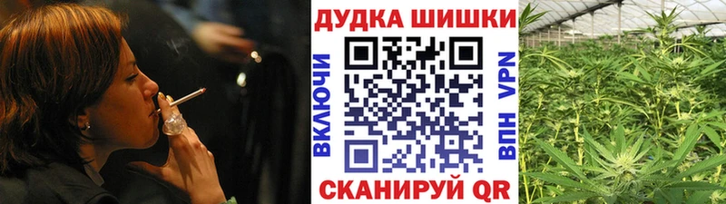 как найти наркотики  Шилка  Шишки марихуана Amnesia 